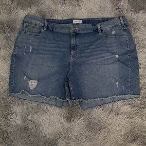 Lane Bryant shorts